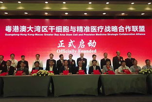 广州海绎会议服务 专业会展服务的卓越之选